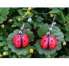 Viseči uhani - pikapolonica (rdeča-črna)