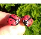 Izvirna darila - uhani - pikapolonica (rdeča-črna)