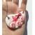 Violet and white butterfly clay jewelry - a necklace and a ring