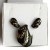 Red Rose Post Earrings For Women