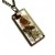 Real Flower Antic Necklace - Angelica Archangelica