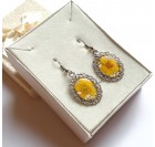 Cvetlični uhani - Travni&scaron;ke zlatice, gozdni koren