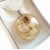 Real Flower Resin Angel Pendant - Wild rose, orchid, Angelica