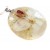 Real Flower Resin Angel Pendant - Wild rose, orchid, Angelica