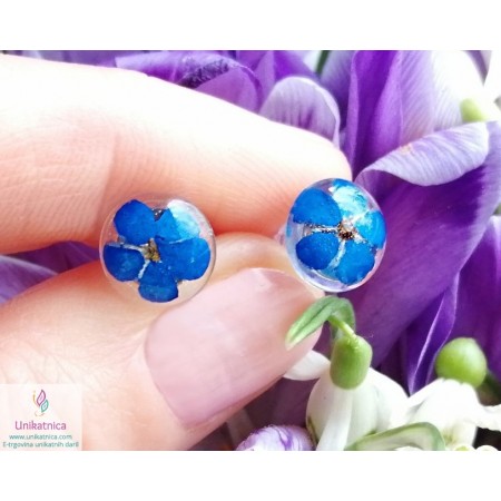 /2444-11908-thickbox/real-flower-forget-me-not-post-earrings-113.jpg