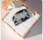 Bik - Horoskop obesek za ženske