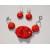 Red cat Sphynx bracelet and earrings