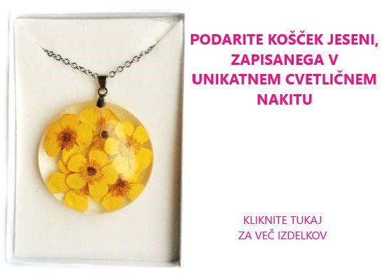 Darila za Valentinovo